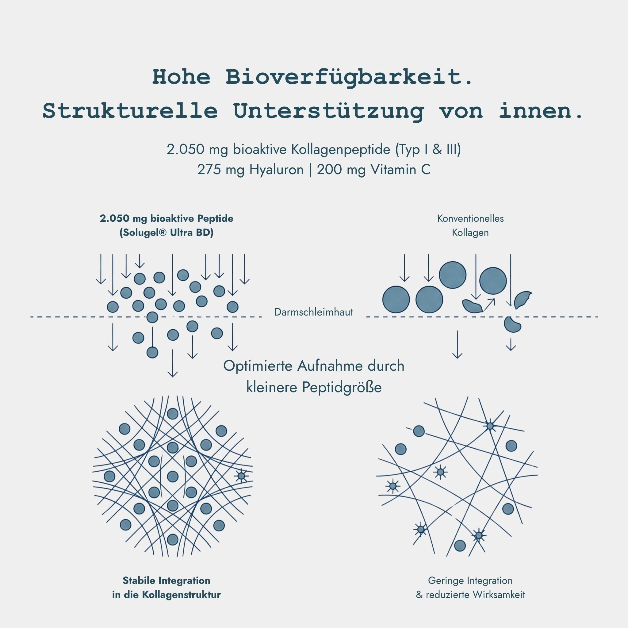 Collagen Complex+ Typ I & III - Unterstützt Hautstruktur, Elastizität und Feuchtigkeitsversorgung