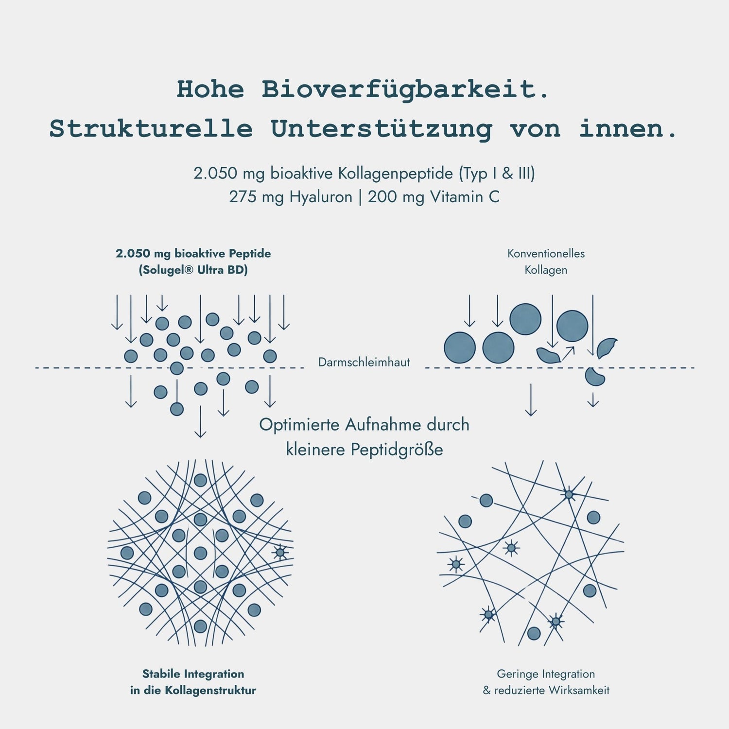 Collagen Complex+ Typ I &amp; III - Unterstützt Hautstruktur, Elastizität und Feuchtigkeitsversorgung